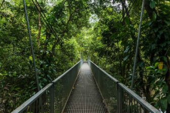 Daintree National Park